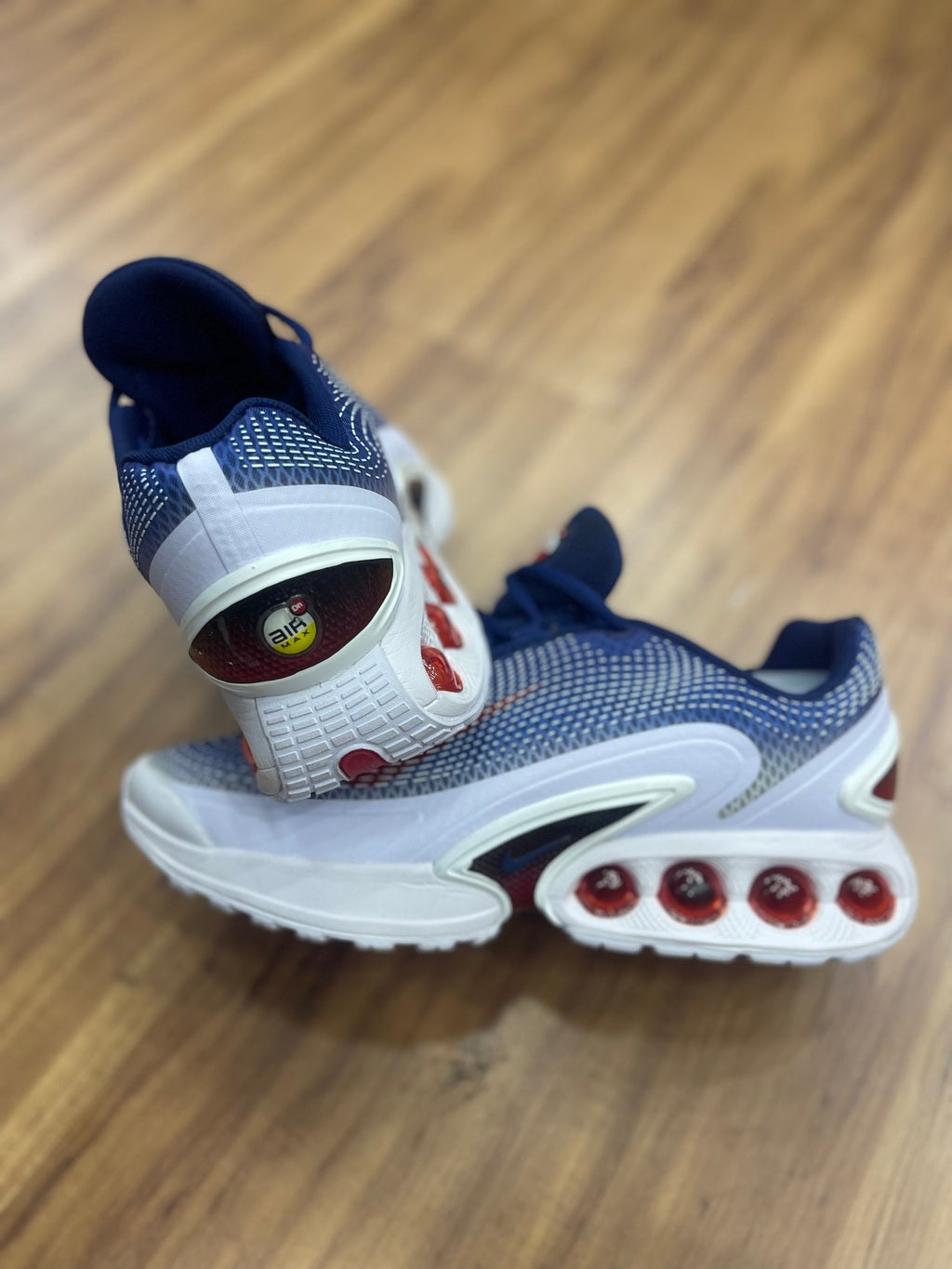 Air Max DN "Oly"