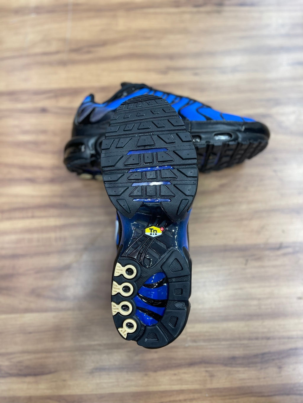 Air Max TN "Race Blue"