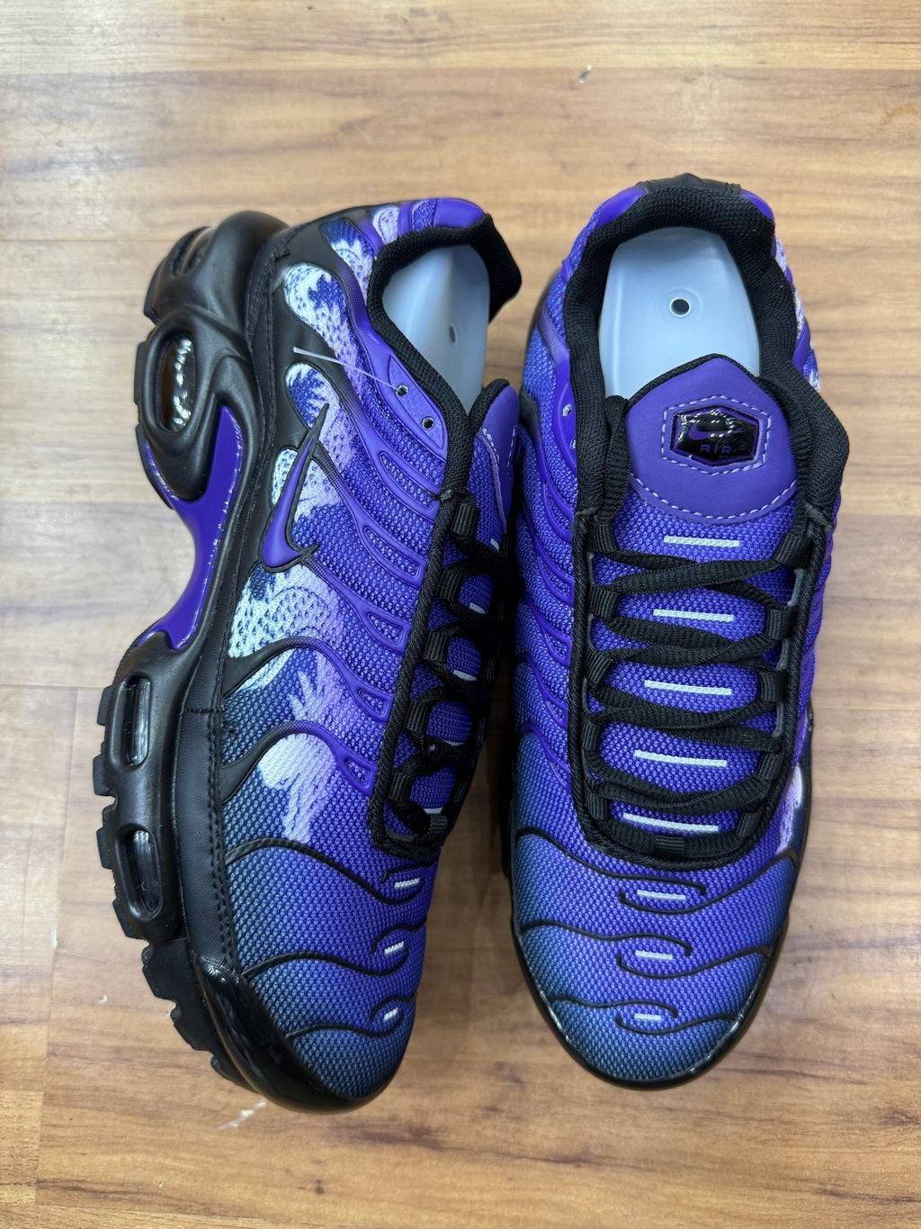 Tn Dragon