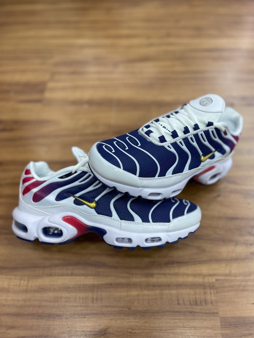 Air Max TN "PSG"