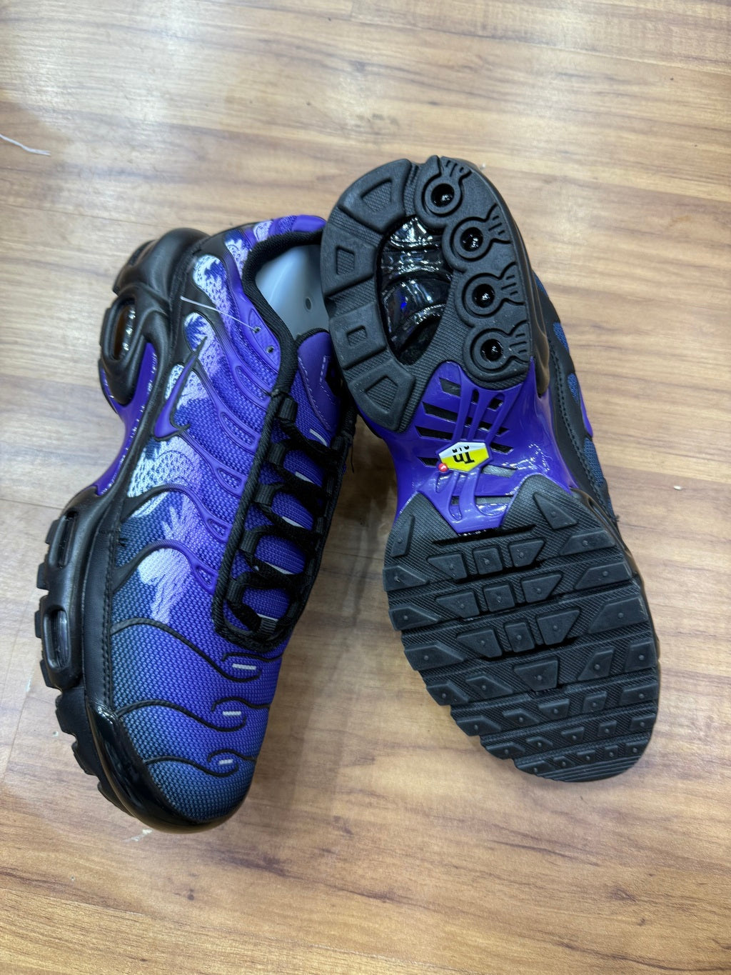 Tn Dragon