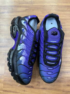 Tn Dragon
